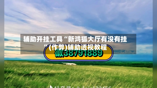 辅助开挂工具“新鸿狐大厅有没有挂	”(作弊)辅助透视教程-第2张图片