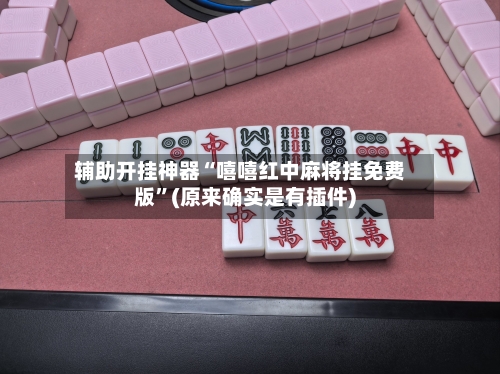 辅助开挂神器“嘻嘻红中麻将挂免费版”(原来确实是有插件)-第2张图片