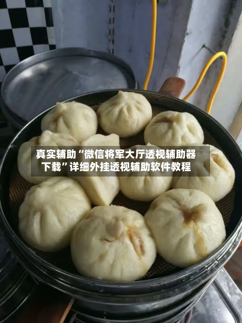 真实辅助“微信将军大厅透视辅助器下载”详细外挂透视辅助软件教程-第3张图片