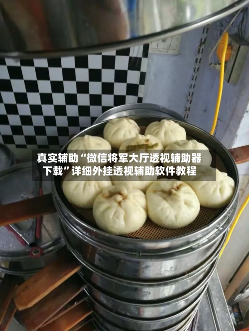 真实辅助“微信将军大厅透视辅助器下载	”详细外挂透视辅助软件教程-第2张图片