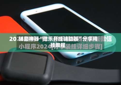 辅助神器“微乐开挂辅助器”分享用挂教程-第2张图片