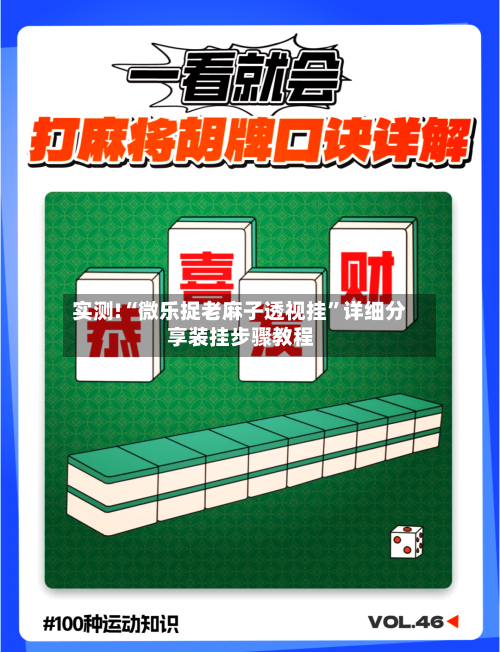 实测!“微乐捉老麻子透视挂	”详细分享装挂步骤教程-第2张图片