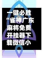 一键必胜“雀神广东麻将免费开挂器下载微信小程序”(透视挂)辅助透视教程-第3张图片