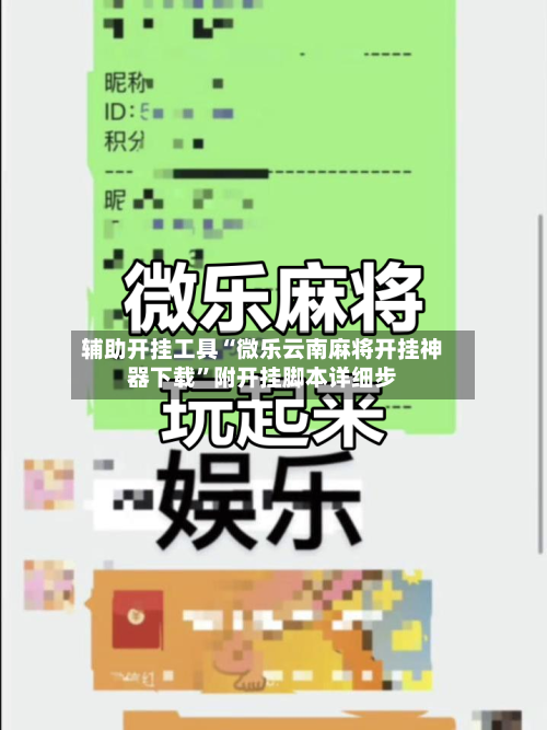 辅助开挂工具“微乐云南麻将开挂神器下载”附开挂脚本详细步-第3张图片