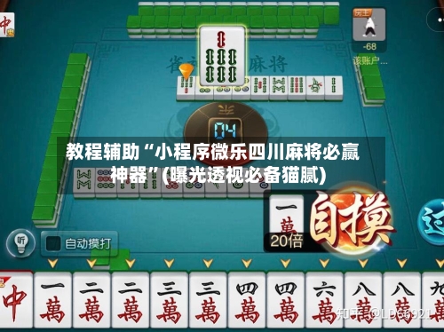 教程辅助“小程序微乐四川麻将必赢神器”(曝光透视必备猫腻)