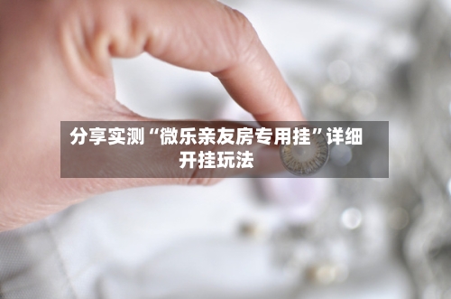 分享实测“微乐亲友房专用挂”详细开挂玩法-第2张图片