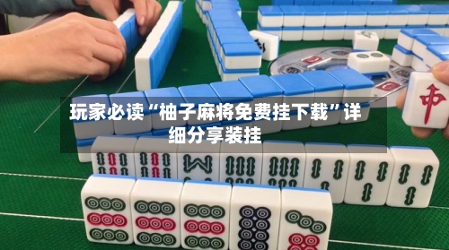 玩家必读“柚子麻将免费挂下载”详细分享装挂-第2张图片