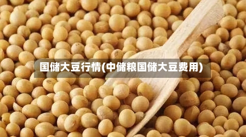 国储大豆行情(中储粮国储大豆费用)