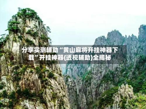 分享实测辅助“黄山麻将开挂神器下载”开挂神器{透视辅助}全揭秘-第2张图片