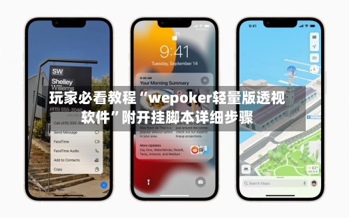 玩家必看教程“wepoker轻量版透视软件”附开挂脚本详细步骤-第2张图片