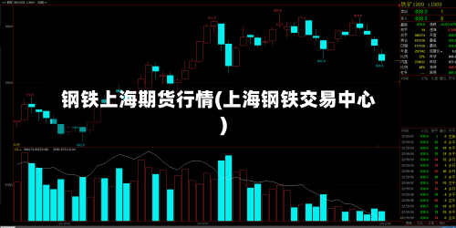 钢铁上海期货行情(上海钢铁交易中心)