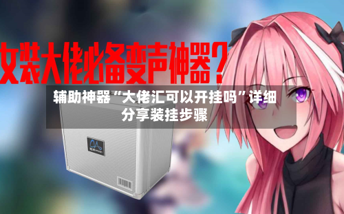 辅助神器“大佬汇可以开挂吗”详细分享装挂步骤-第3张图片