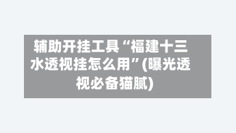 辅助开挂工具“福建十三水透视挂怎么用”(曝光透视必备猫腻)-第3张图片