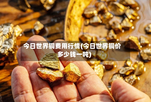 今日世界铜费用行情(今日世界铜价多少钱一吨)-第2张图片