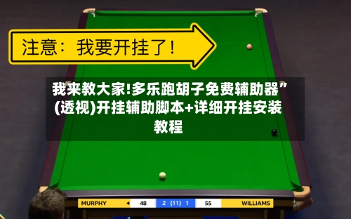 我来教大家!多乐跑胡子免费辅助器”(透视)开挂辅助脚本+详细开挂安装教程-第2张图片