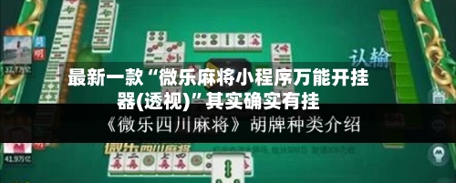 最新一款“微乐麻将小程序万能开挂器(透视)”其实确实有挂-第2张图片