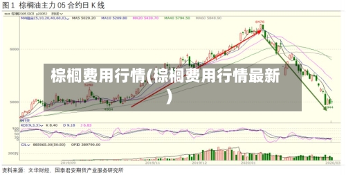 棕榈费用行情(棕榈费用行情最新)-第2张图片