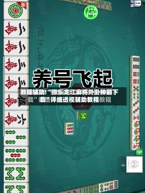教程辅助!“微乐龙江麻将外卦神器下载	”详细透视辅助教程-第3张图片