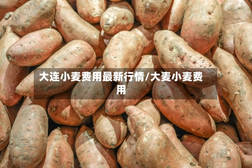大连小麦费用最新行情/大麦小麦费用