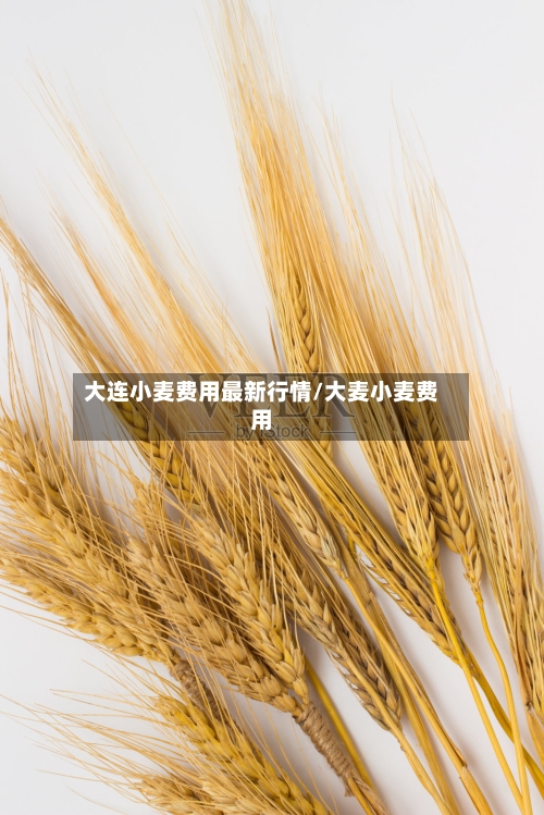 大连小麦费用最新行情/大麦小麦费用-第2张图片