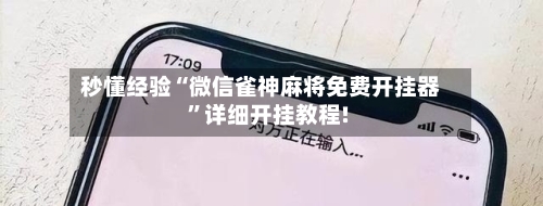 秒懂经验“微信雀神麻将免费开挂器”详细开挂教程!-第2张图片