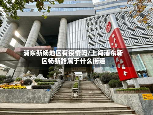 浦东新杨地区有疫情吗/上海浦东新区杨新路属于什么街道-第2张图片