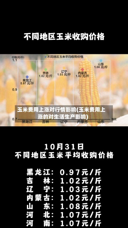 玉米费用上涨对行情影响(玉米费用上涨的对生活生产影响)