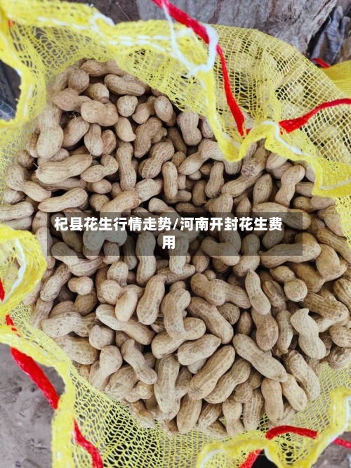 杞县花生行情走势/河南开封花生费用