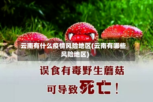 云南有什么疫情风险地区(云南有哪些风险地区)-第3张图片