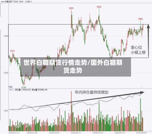 世界白糖期货行情走势/国外白糖期货走势