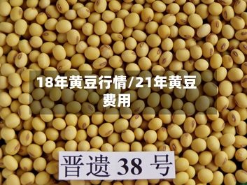 18年黄豆行情/21年黄豆费用-第2张图片