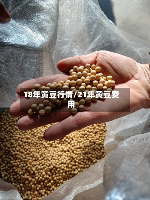 18年黄豆行情/21年黄豆费用-第3张图片