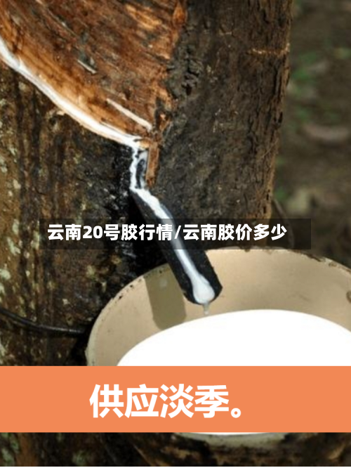 云南20号胶行情/云南胶价多少
