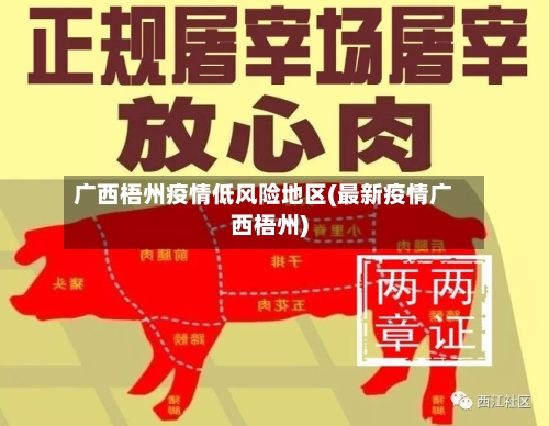 广西梧州疫情低风险地区(最新疫情广西梧州)