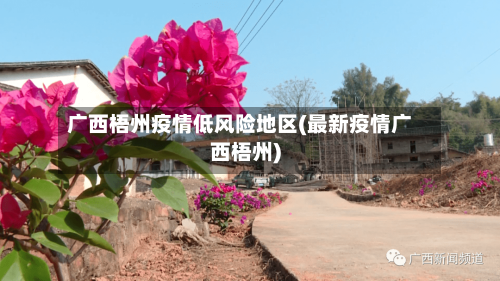 广西梧州疫情低风险地区(最新疫情广西梧州)-第2张图片