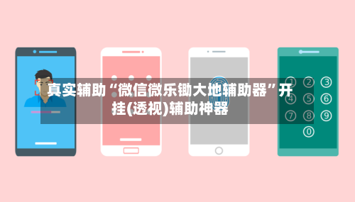真实辅助“微信微乐锄大地辅助器	”开挂(透视)辅助神器-第2张图片