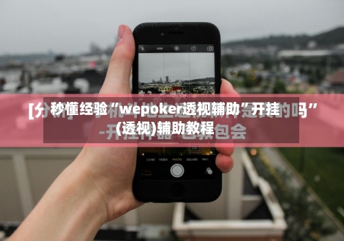 秒懂经验“wepoker透视辅助”开挂(透视)辅助教程-第3张图片