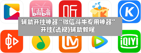辅助开挂神器“微信斗牛专用神器”开挂(透视)辅助教程