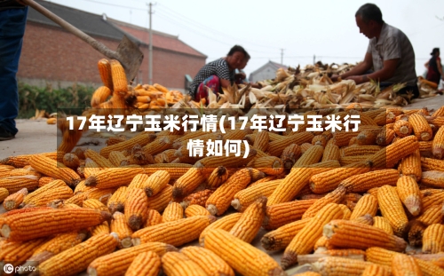 17年辽宁玉米行情(17年辽宁玉米行情如何)
