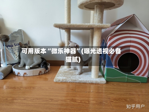 可用版本“微乐神器	”(曝光透视必备猫腻)-第2张图片