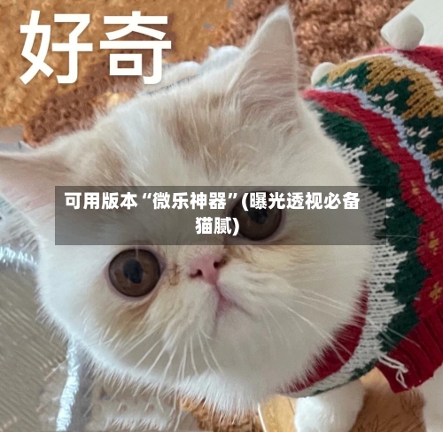 可用版本“微乐神器”(曝光透视必备猫腻)-第3张图片