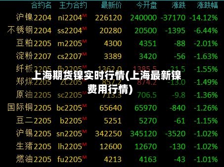 上海期货镍实时行情(上海最新镍费用行情)-第2张图片