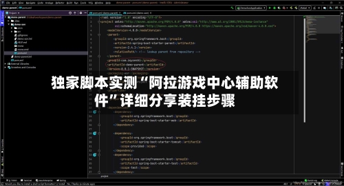 独家脚本实测“阿拉游戏中心辅助软件”详细分享装挂步骤