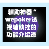 辅助神器“wepoker透视辅助挂的功能介绍透视作弊挂使用教程”开挂辅助脚本+详细开挂安装教程-第3张图片