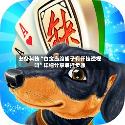必备科技“白金岛跑胡子有开挂透视吗”详细分享装挂步骤-第2张图片