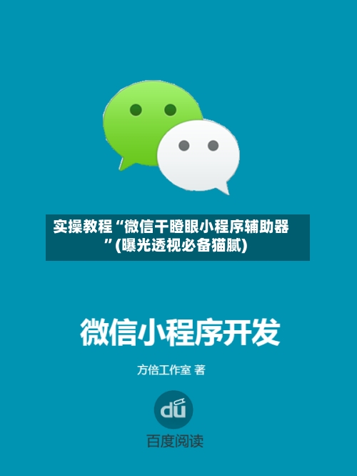 实操教程“微信干瞪眼小程序辅助器”(曝光透视必备猫腻)-第3张图片