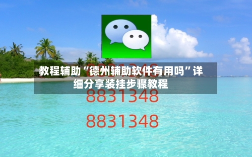 教程辅助“德州辅助软件有用吗	”详细分享装挂步骤教程-第2张图片