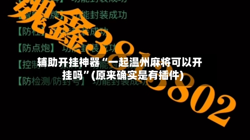 辅助开挂神器“一起温州麻将可以开挂吗”(原来确实是有插件)