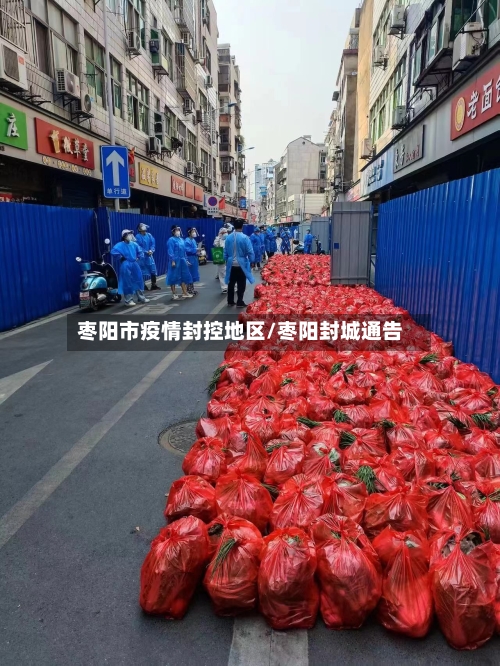 枣阳市疫情封控地区/枣阳封城通告