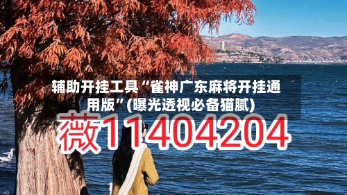 辅助开挂工具“雀神广东麻将开挂通用版”(曝光透视必备猫腻)-第2张图片